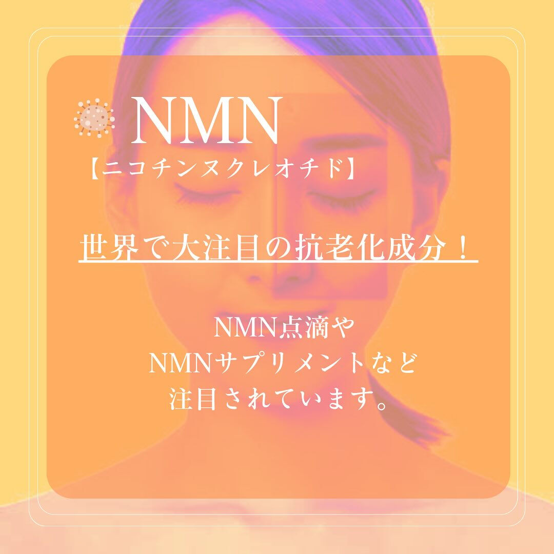 NMN【ニコチンヌクレオチド】
