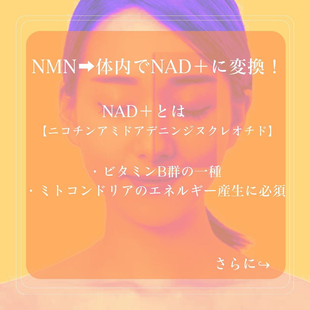 NMN【ニコチンヌクレオチド】