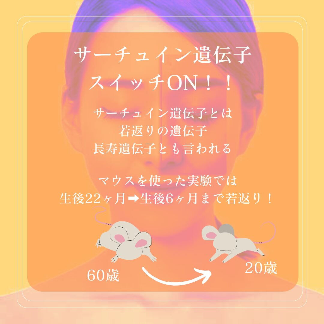 NMN【ニコチンヌクレオチド】