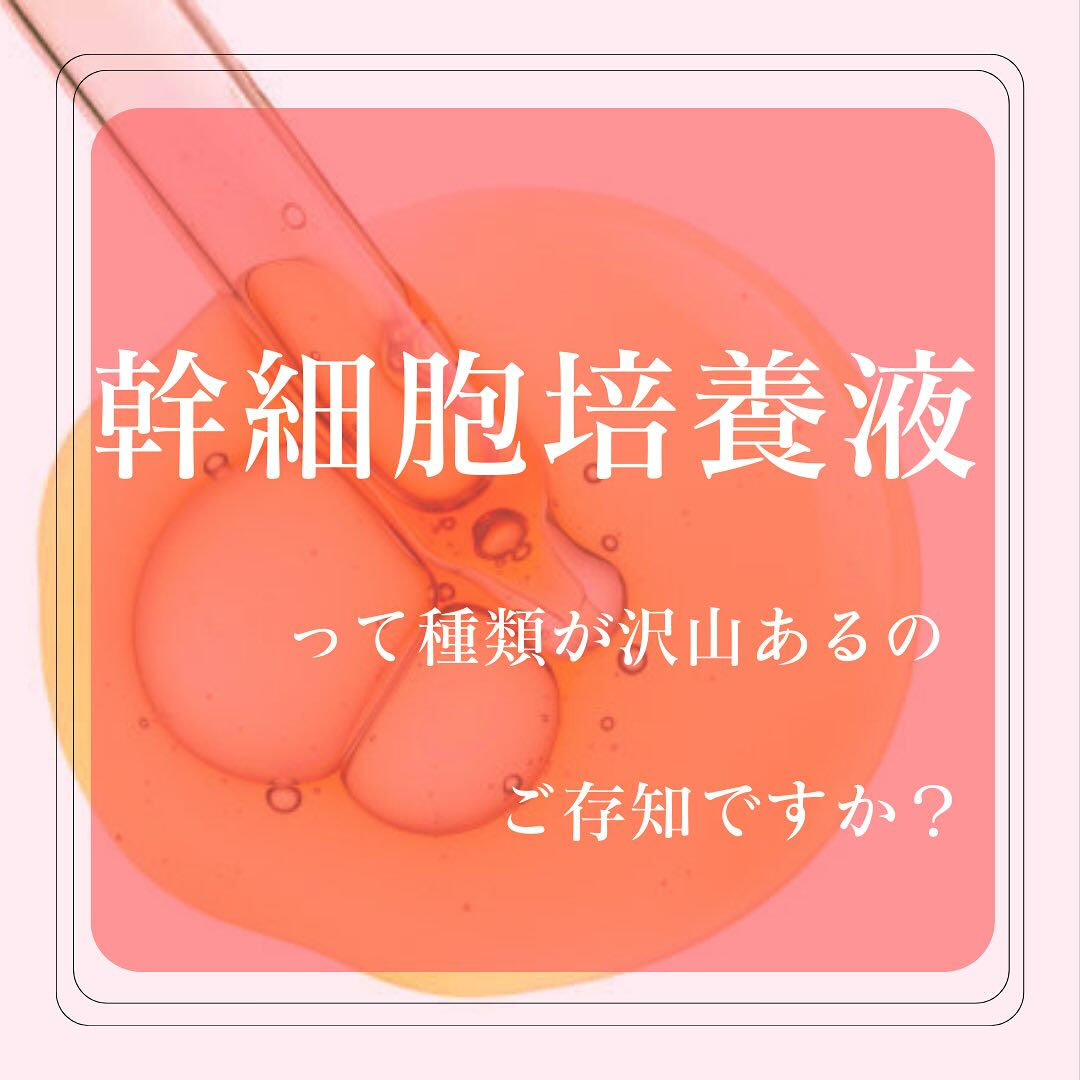 幹細胞培養液