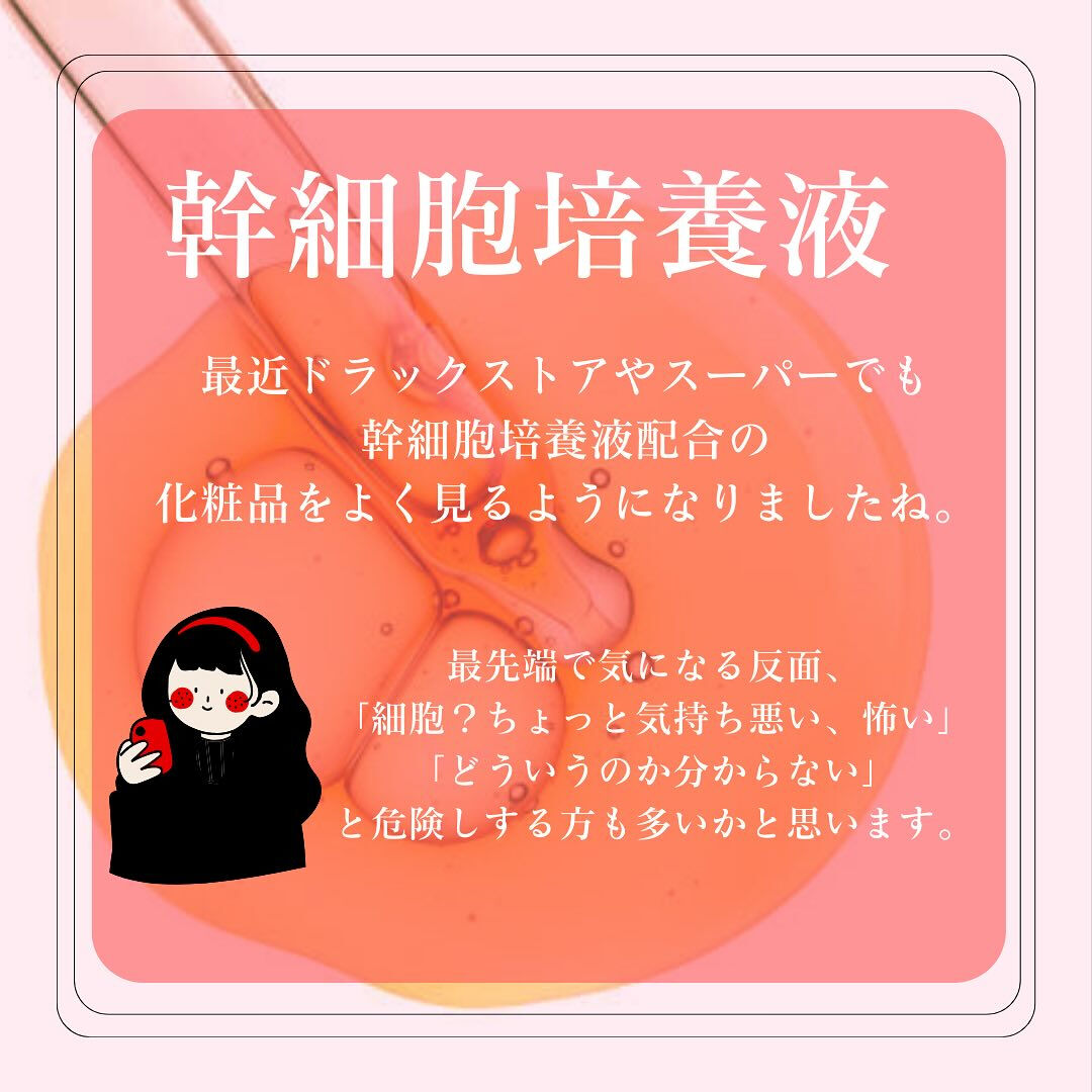 幹細胞培養液