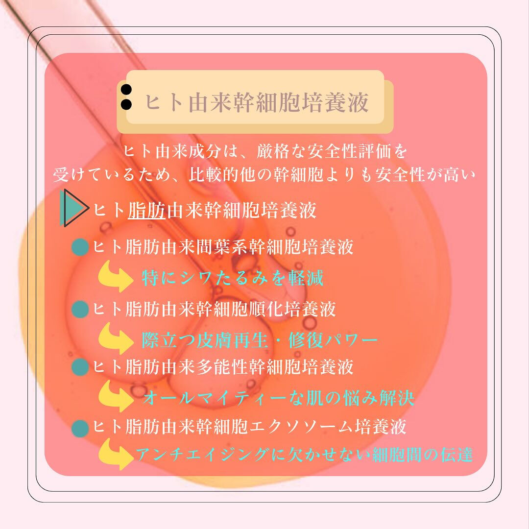 幹細胞培養液