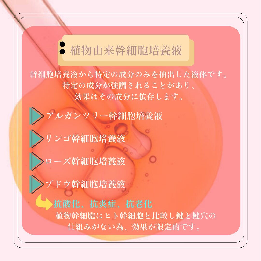 幹細胞培養液
