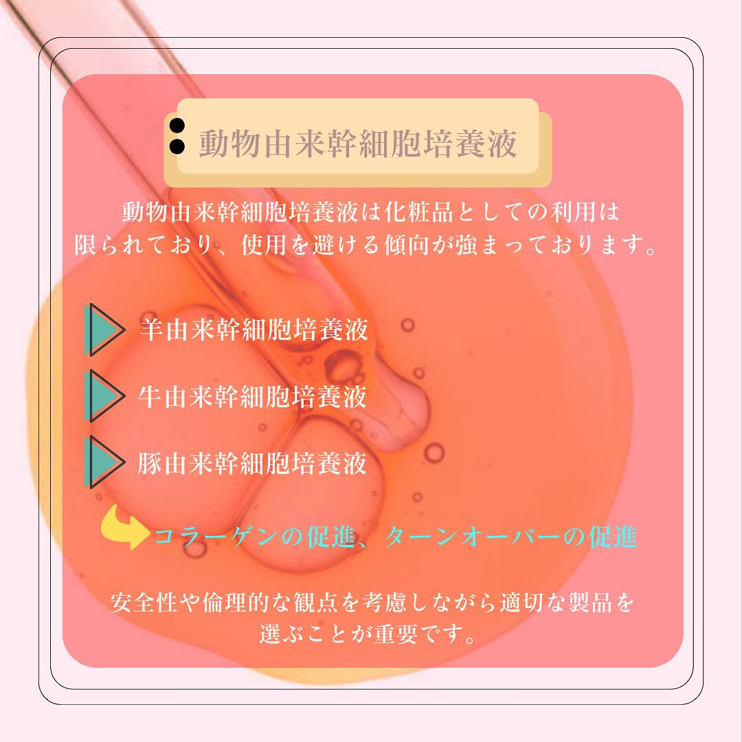 幹細胞培養液