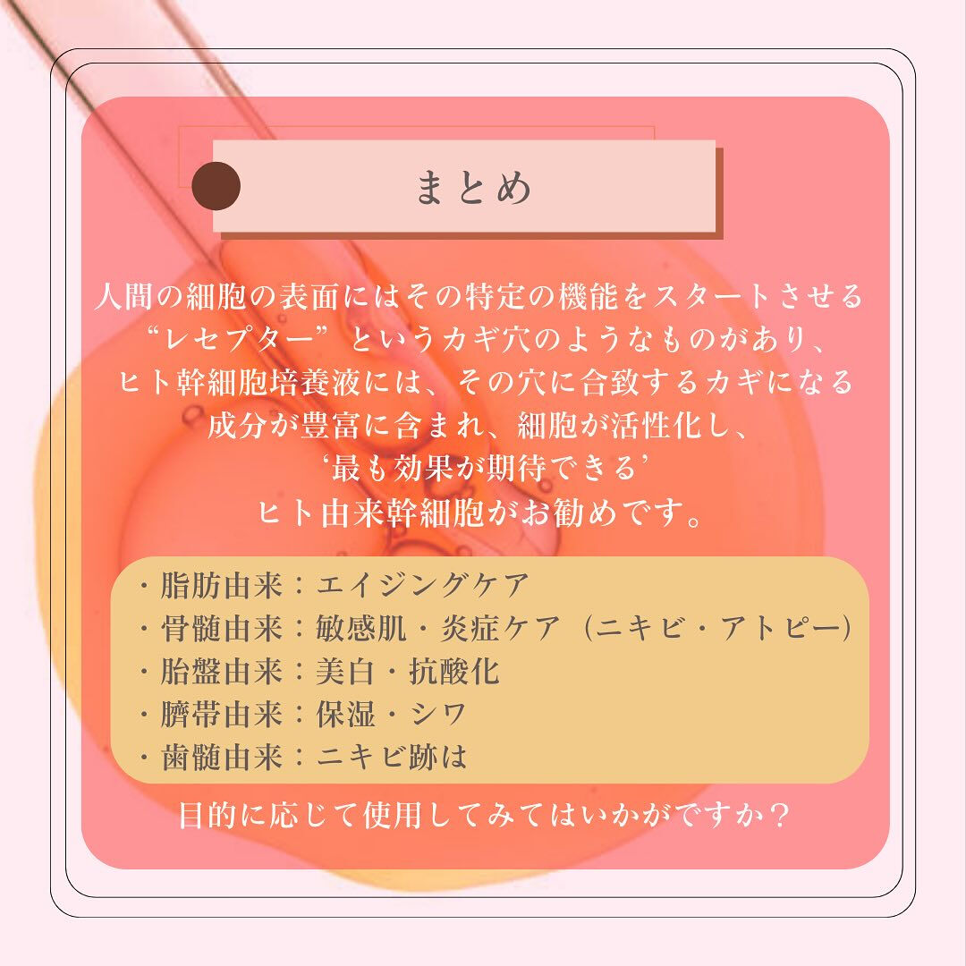 幹細胞培養液