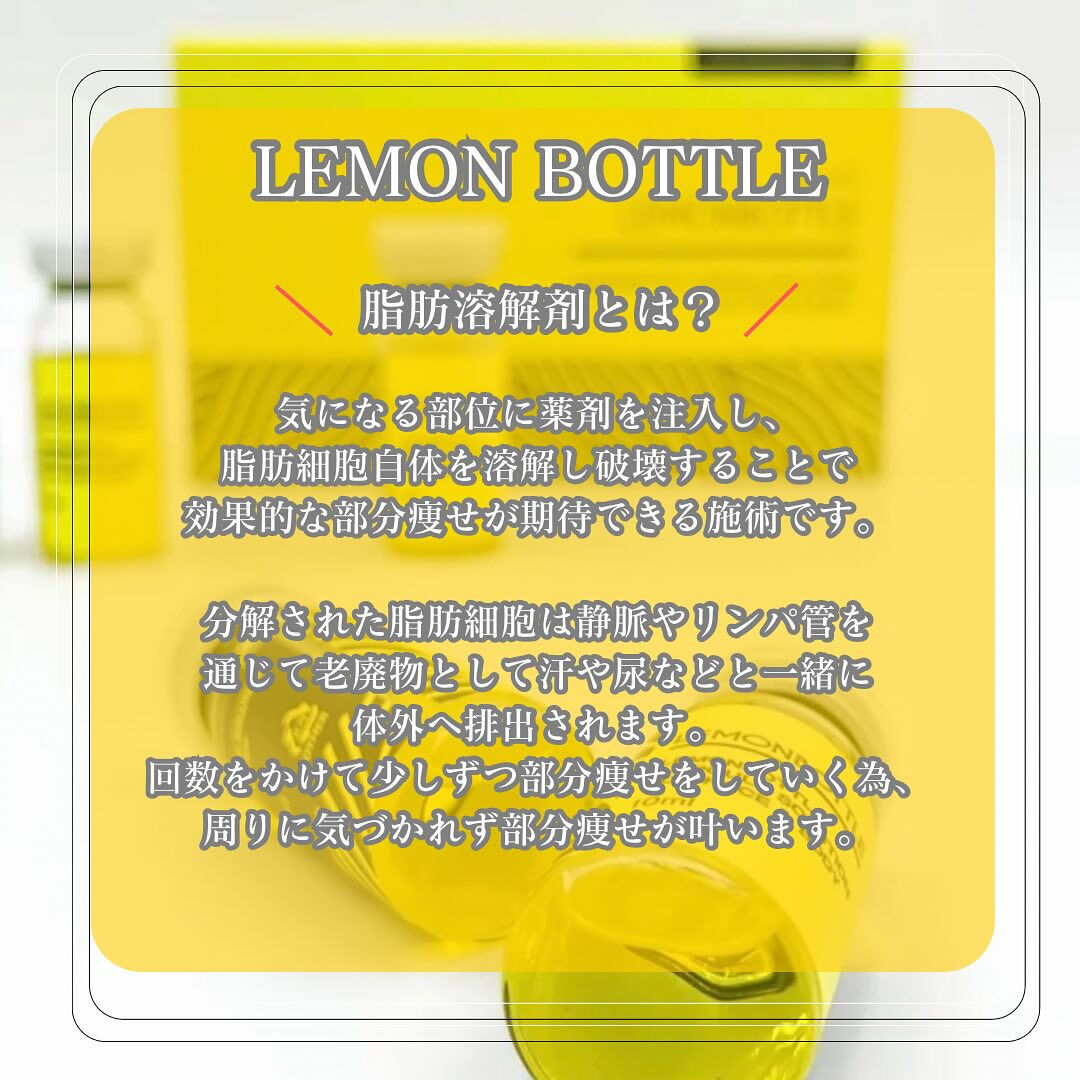 T ESTHETIC SALON 「脂肪溶解」